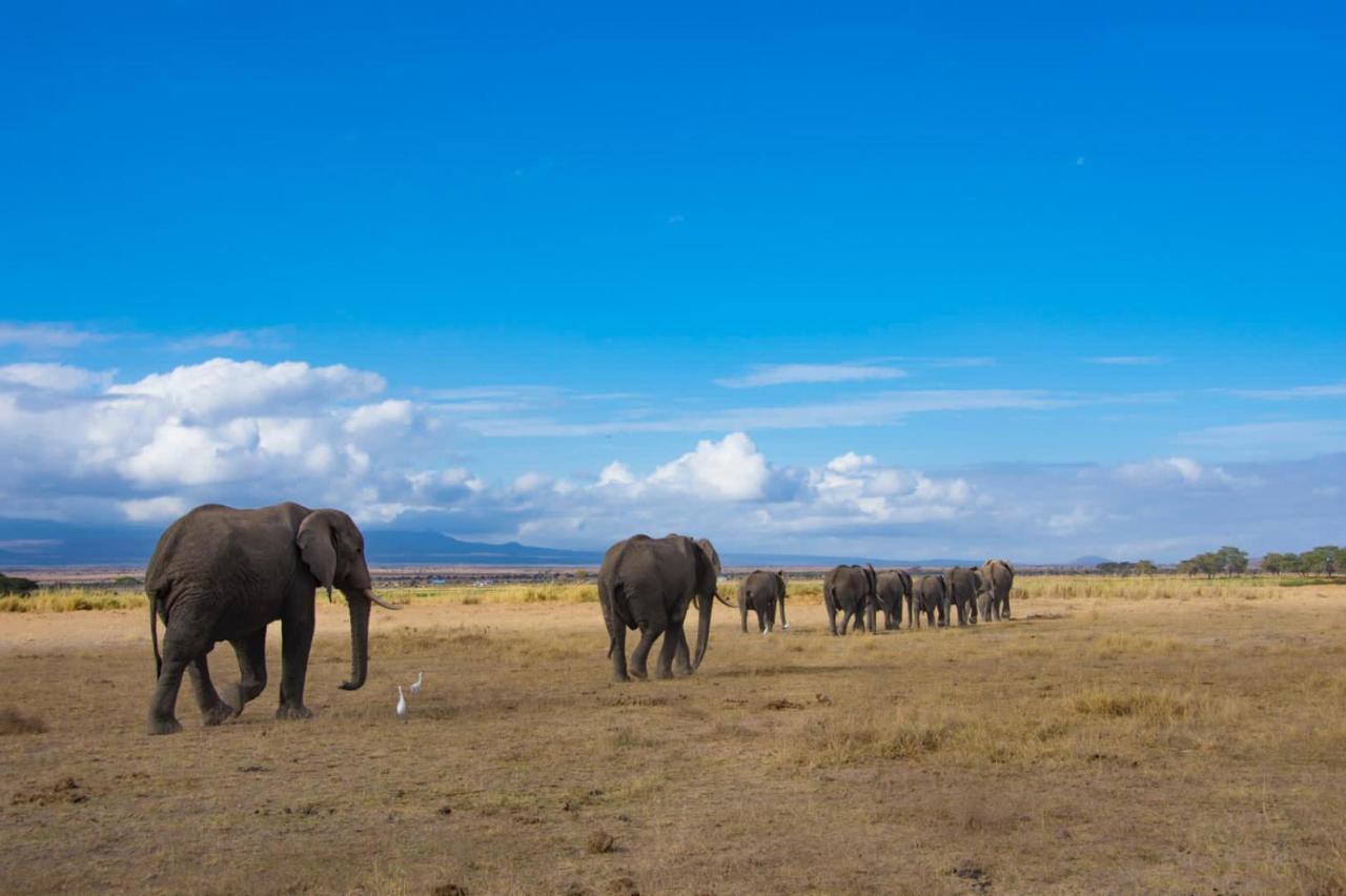 Amboseli Cultural Camping מראה חיצוני תמונה