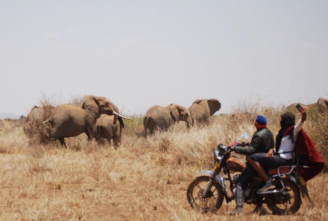 Amboseli Cultural Camping מראה חיצוני תמונה