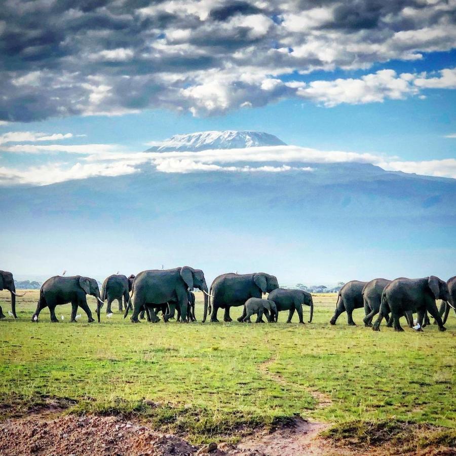 Amboseli Cultural Camping מראה חיצוני תמונה