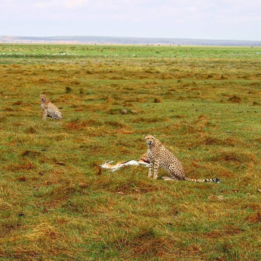 Amboseli Cultural Camping מראה חיצוני תמונה